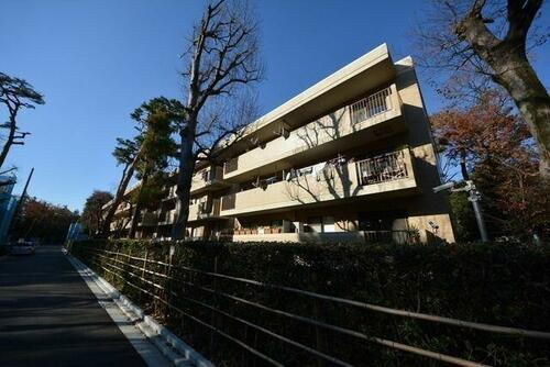 東京都三鷹市井の頭５丁目 賃貸マンション