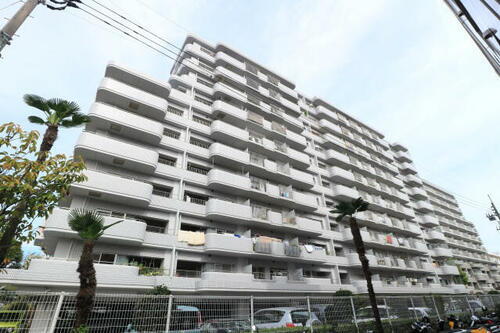 高知県高知市旭町２丁目 11階建 築38年11ヶ月