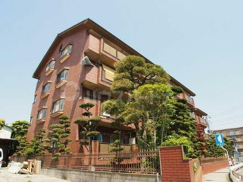 千葉県市川市田尻５丁目 賃貸マンション