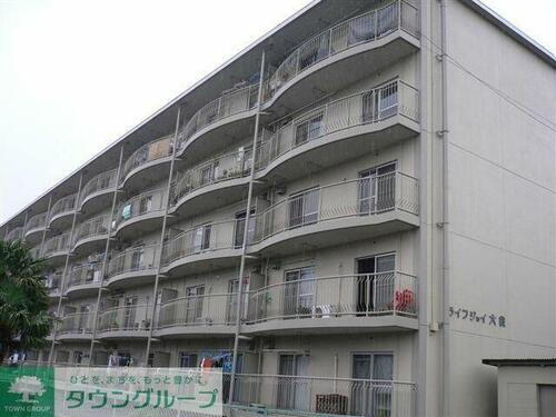 埼玉県越谷市大字袋山 築41年10ヶ月 5階建