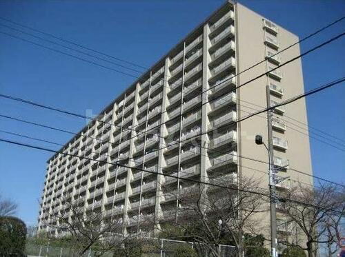 千葉県松戸市新松戸３丁目 築47年11ヶ月 14階建