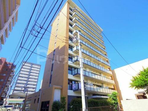 千葉県松戸市小金 11階建 築10年6ヶ月