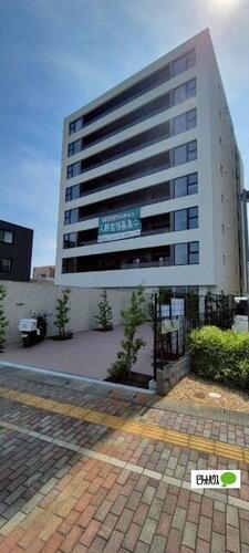 フィラーレ 8階建