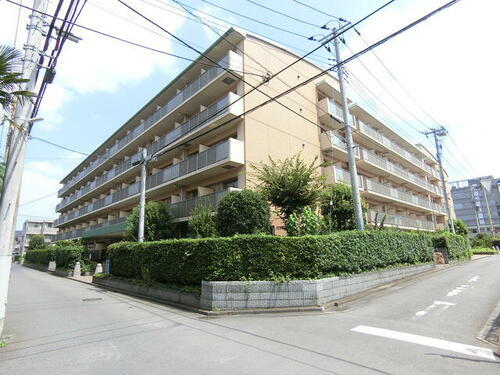 埼玉県さいたま市浦和区針ヶ谷１丁目 賃貸マンション