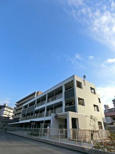 パンプキン　クィーン