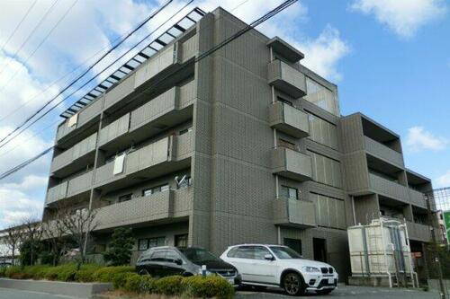 ドムストリア 5階建