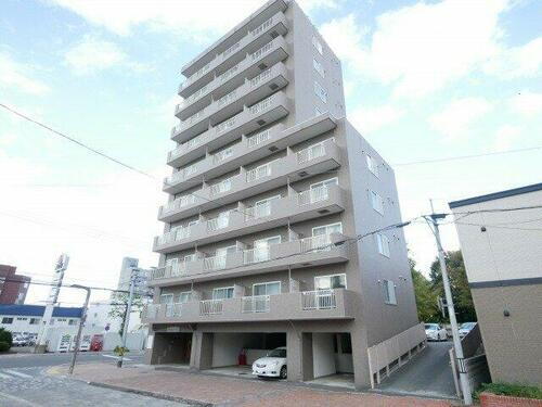 マッシモフェミニール菊水