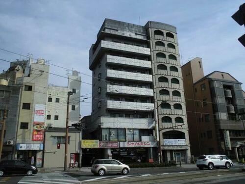 胡蝶花サルナート