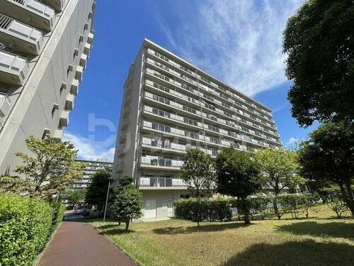 千葉県松戸市新松戸７丁目 11階建 築44年11ヶ月