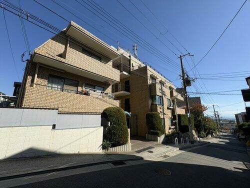 兵庫県神戸市灘区五毛通１丁目 賃貸マンション