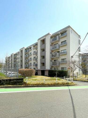 福岡県福岡市南区多賀２丁目 5階建 築52年7ヶ月