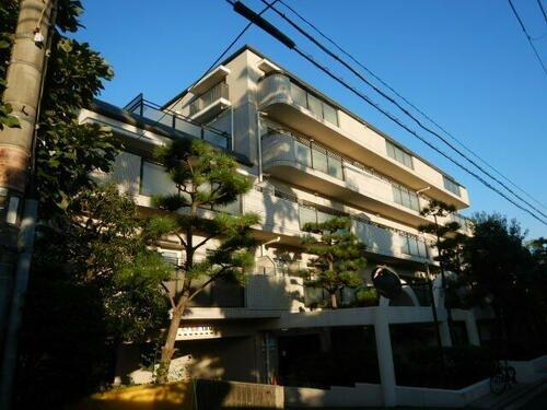 兵庫県神戸市東灘区住吉東町１丁目 賃貸マンション