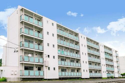 ビレッジハウス白野江５号棟 5階建