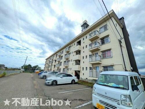 徳島県板野郡松茂町笹木野字北上 賃貸マンション