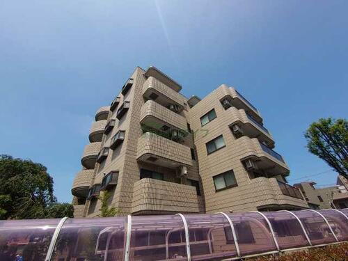 蒲田モリコーポ 5階建