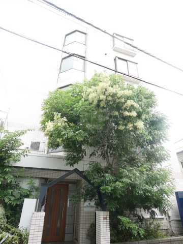 アムロゼッタ西荻窪 5階建