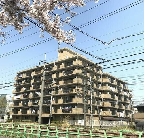 神奈川県相模原市緑区東橋本１丁目 賃貸マンション