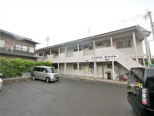 コーポラスホワイト