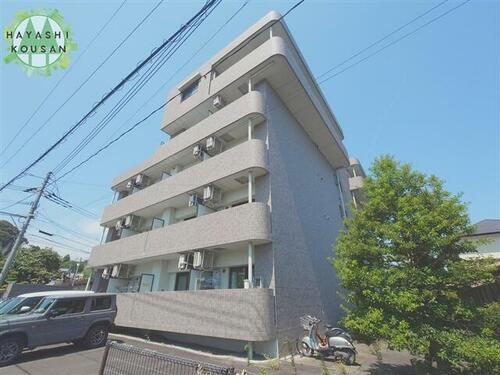 トレステーラ下芹