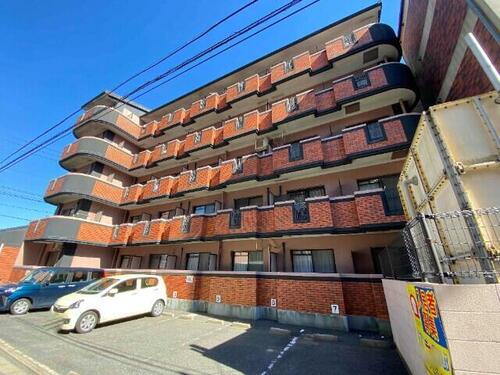 福岡県北九州市戸畑区新池３丁目 5階建 築29年10ヶ月