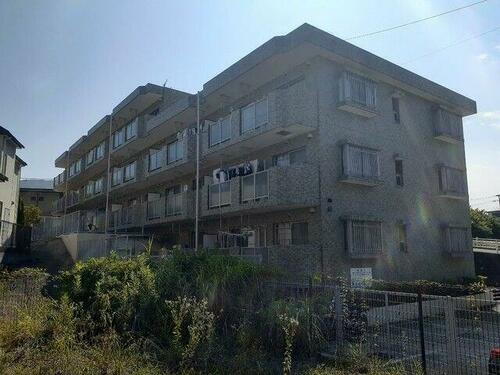 神奈川県横浜市戸塚区川上町 賃貸マンション