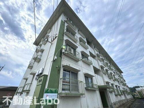 徳島県徳島市国府町観音寺 築43年9ヶ月 4階建