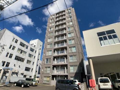 コートロティ大通