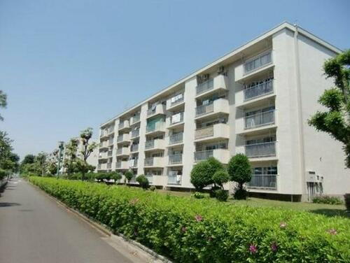 多摩川住宅ハ－９号棟 5階建