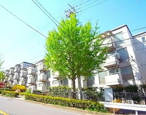 兵庫県芦屋市朝日ケ丘町 築39年12ヶ月 5階建