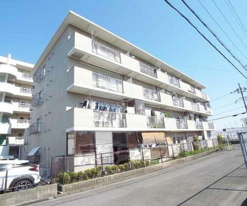 京都府京都市伏見区淀水垂町 賃貸マンション