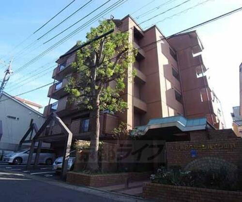 京都府京都市山科区東野八反畑町 6階建 築38年11ヶ月