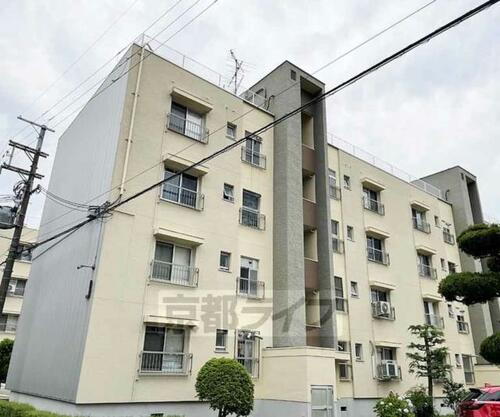 京都府京都市伏見区深草正覚町 4階建 築57年5ヶ月