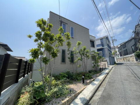 ＳｈａＭａｉｓｏｎブルーメ