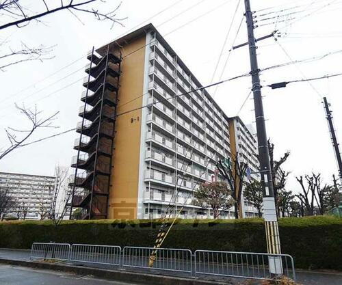 ベルヴィタウン京都伏見（向島市営住宅９街区） 11階建