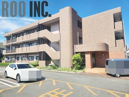 グレイス・セイバリー