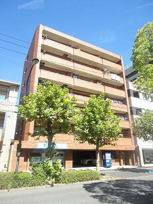 広島県広島市西区観音本町２丁目 築41年10ヶ月 7階建