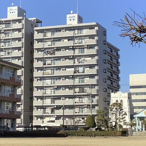 プロスペール桜城 11階建