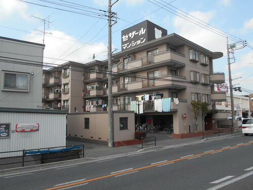 セザール春日部