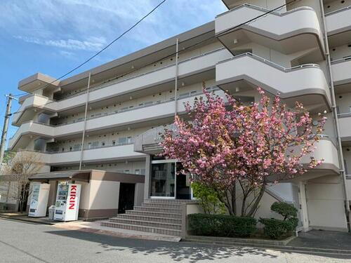 香川県さぬき市志度 4階建 築31年10ヶ月