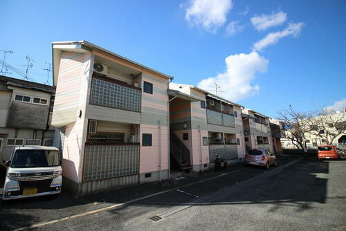 ＰＩＮＫ　ＦＬＡＭＩＮＧＯ