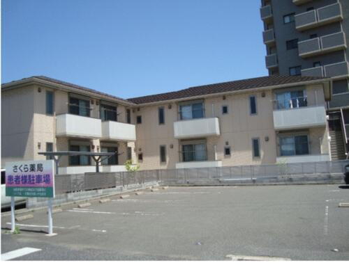 ＳＴＵＲＤＹ・ＳＨＩＭＡ