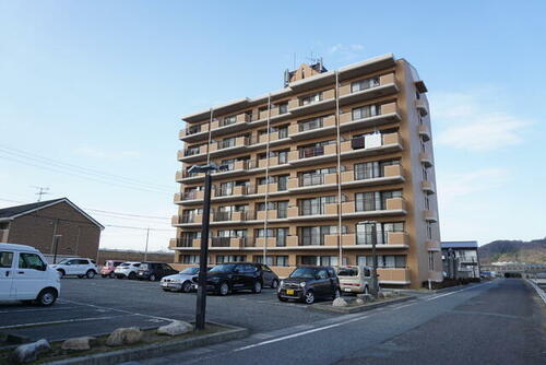 アカンサス鳥取