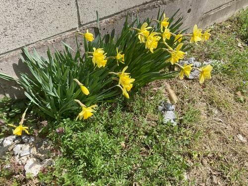 上田花園みどりが丘ベランダ付住宅