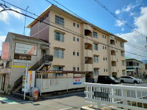 神奈川県小田原市扇町１丁目 賃貸マンション