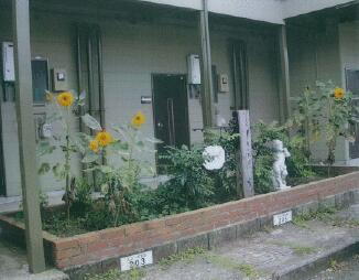 熊本県阿蘇市一の宮町宮地 築40年9ヶ月 2階建