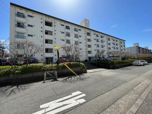 渦ヶ森コーポ３号館 5階建