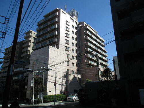 オークマンション 11階建