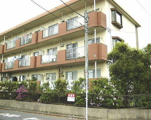 神奈川県藤沢市天神町３丁目 築42年10ヶ月 3階建