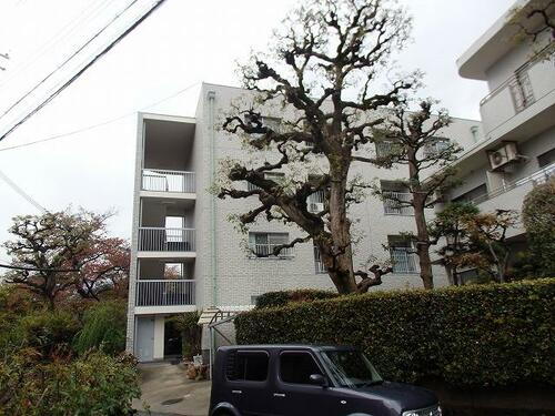 住吉グリーンハウス 4階建