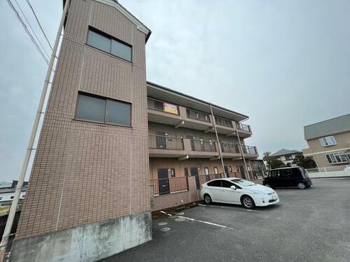 サンシャイン成長